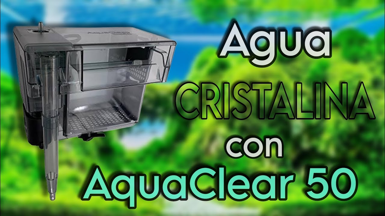 Lo que necesitas saber sobre el filtro Aquaclear 50: unboxing y review