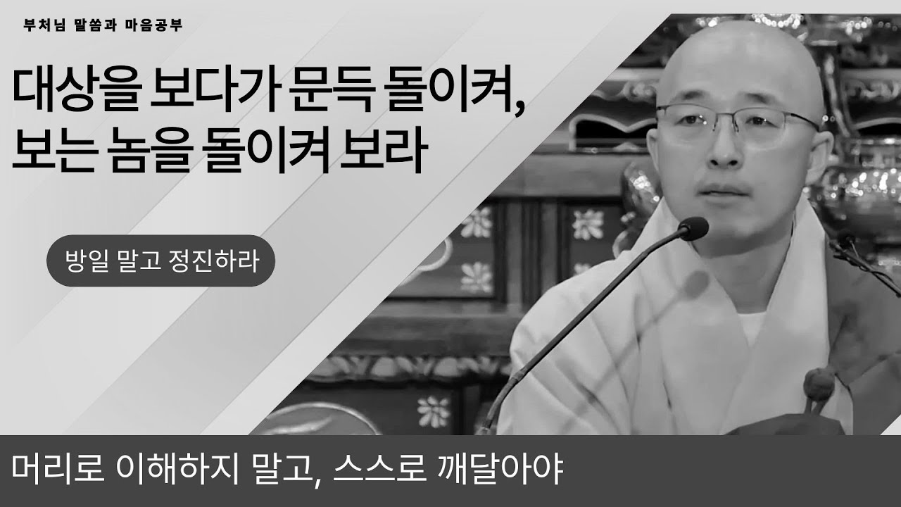 보이는 대상을 보다가 문득 돌이켜 보는 놈을 보면, 게으르지 않고 정진하라 - 부처님말씀과 마음공부(24-2)