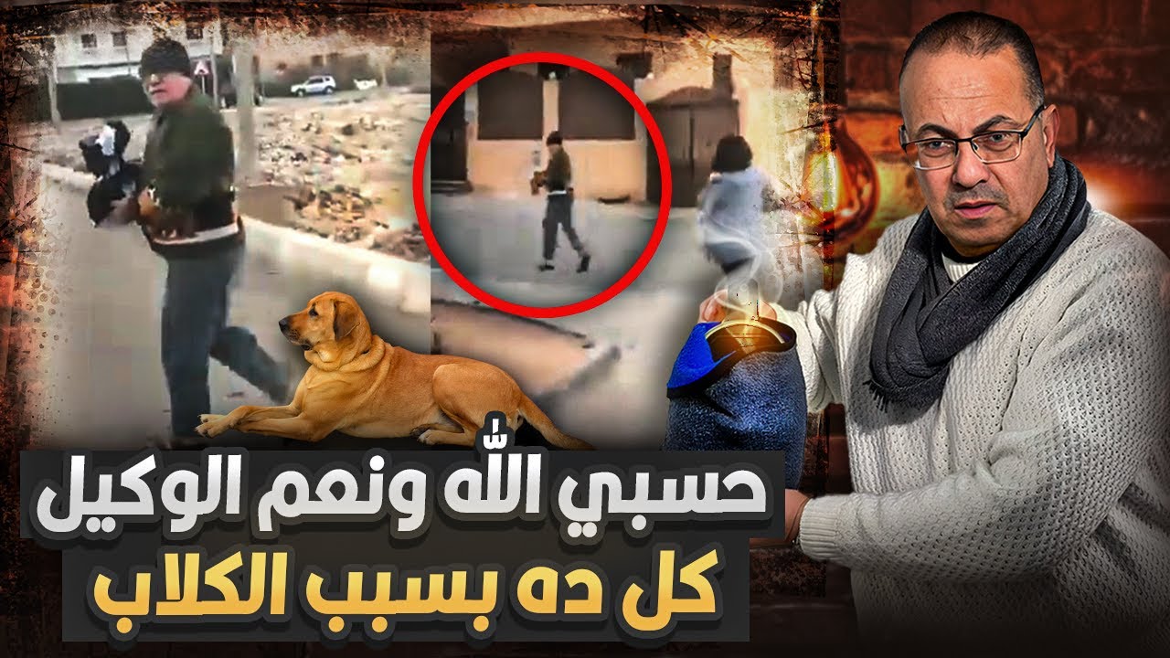 يا نهار اسود هي وصلت لكدة فيديو التعدى على سيده بمية نــ ـار عشان بتأكل الكلاب !!