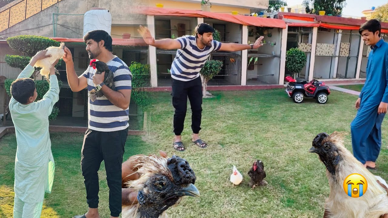 Fight Krty Krty Silky Ki Ankh Chali Gai 🥲