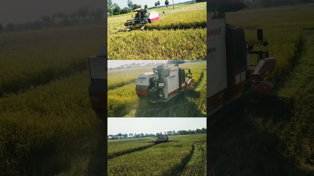 #harvaster#farming #harveting #shorts
