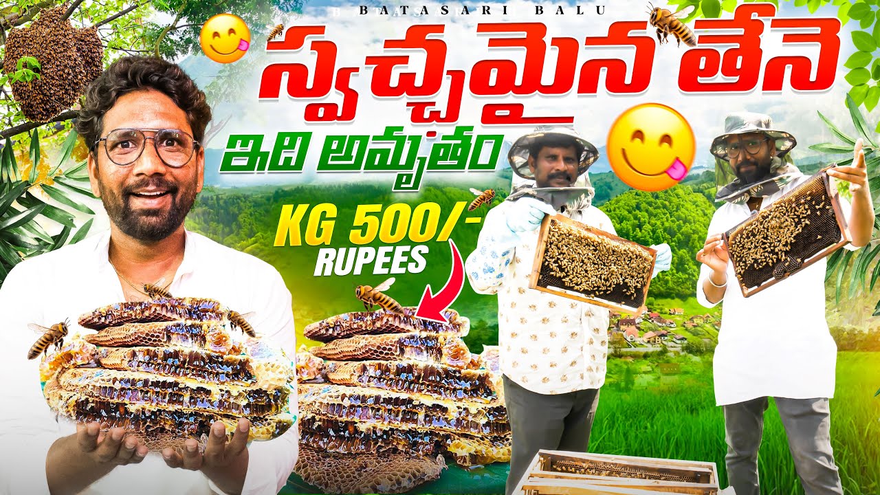 Absolute Beginner's Guide: Organic Honey Making in Nellore 🍯🐝 | Batasari Balu