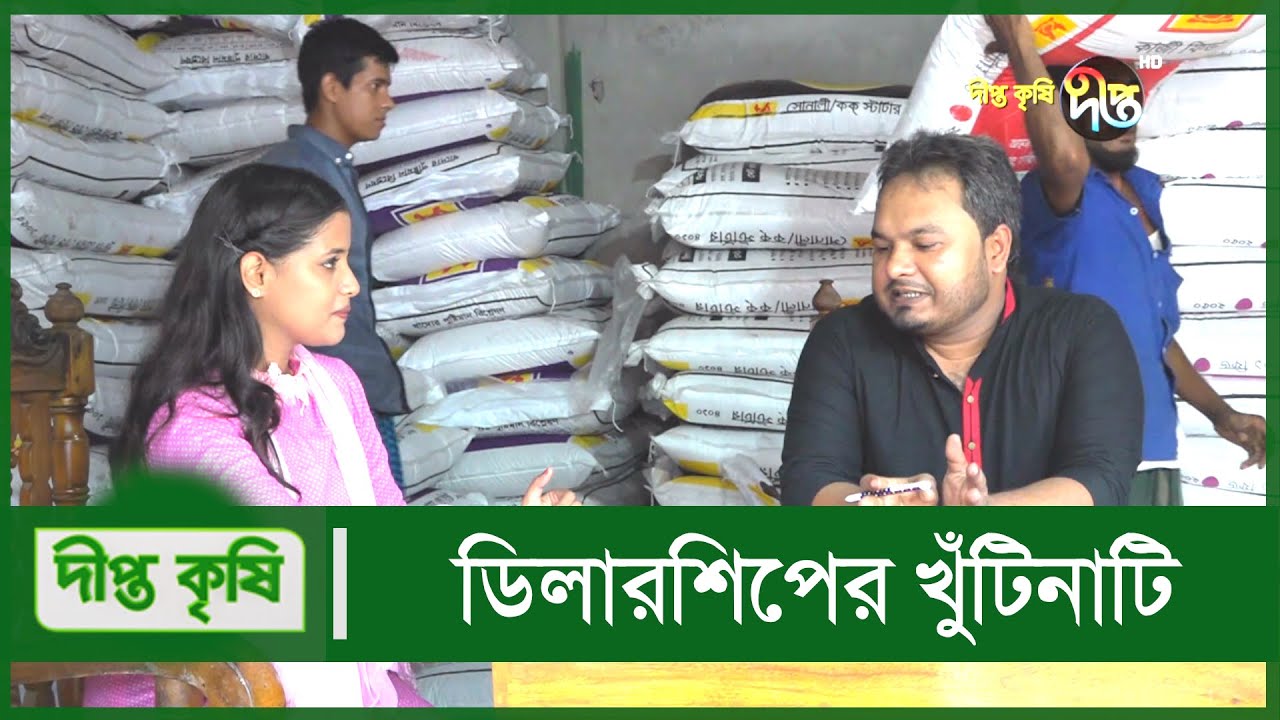 Deepto Krishi l একজন পরিবেশক কীভাবে প্রান্তিক ব্রয়লার খামারিদের সহাযোগিতা করেন l Ep 1259