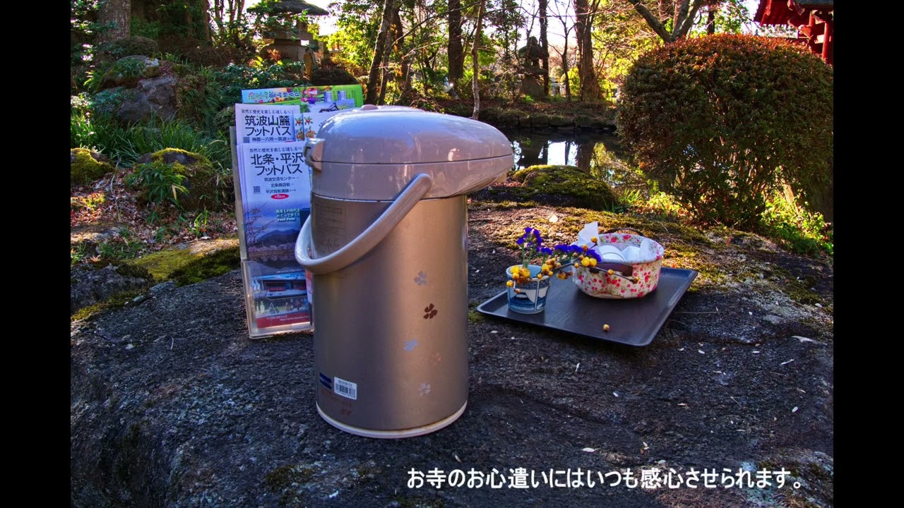 感激を求めて　慈眼山三光院　普門寺の梅　2026年2月19日　茨城県つくば市