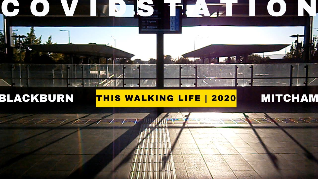 Walking Melbourne Suburbs - Sunrise: Blackburn Station to to Nunawading Station to Mitcham Station