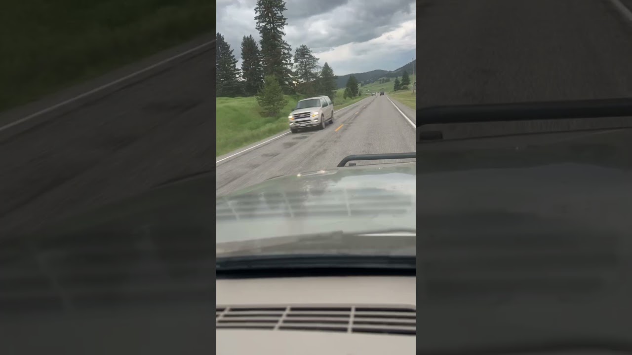 All logging roads open ! (June16)