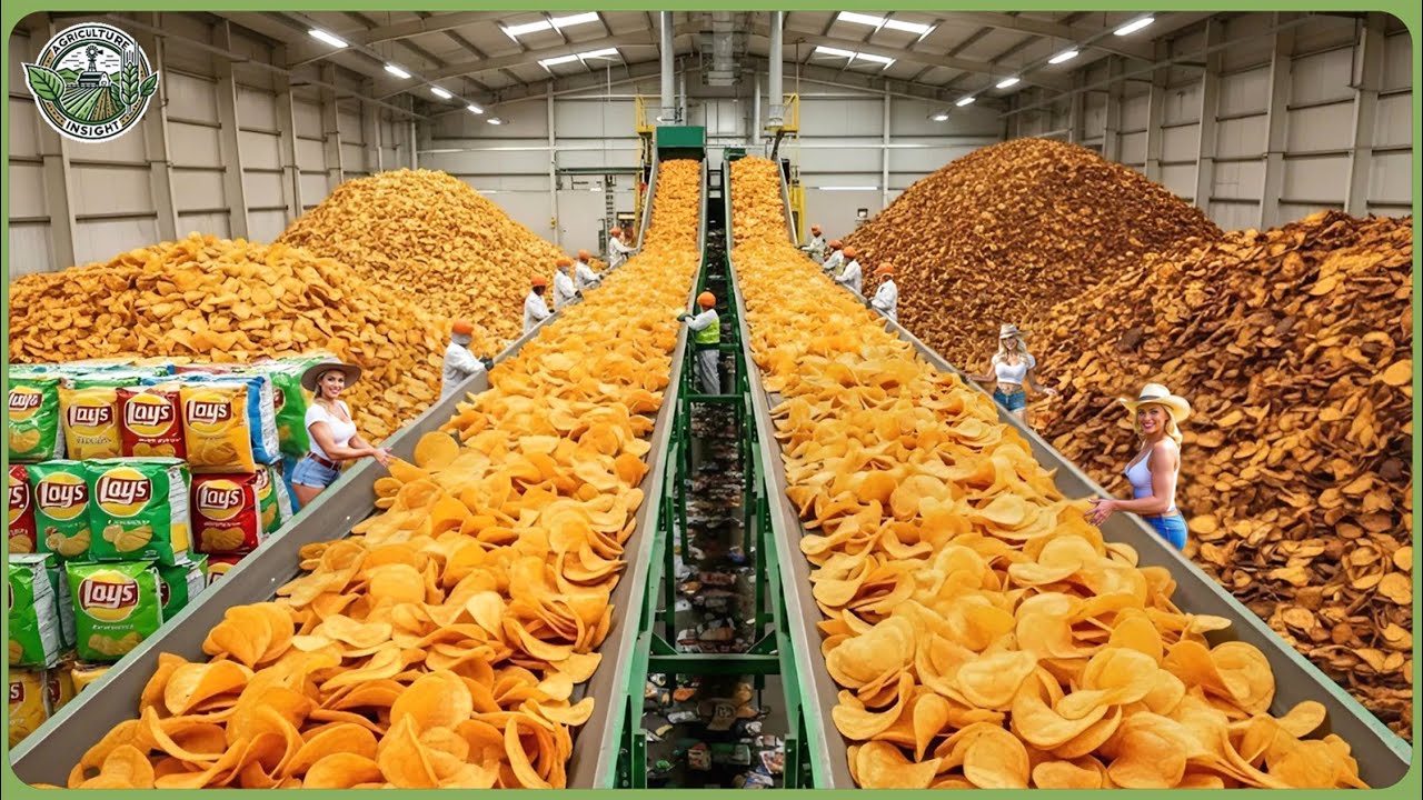 How the World&rsquo;s Most Iconic Brands Are Mass Produced in High Tech Factories