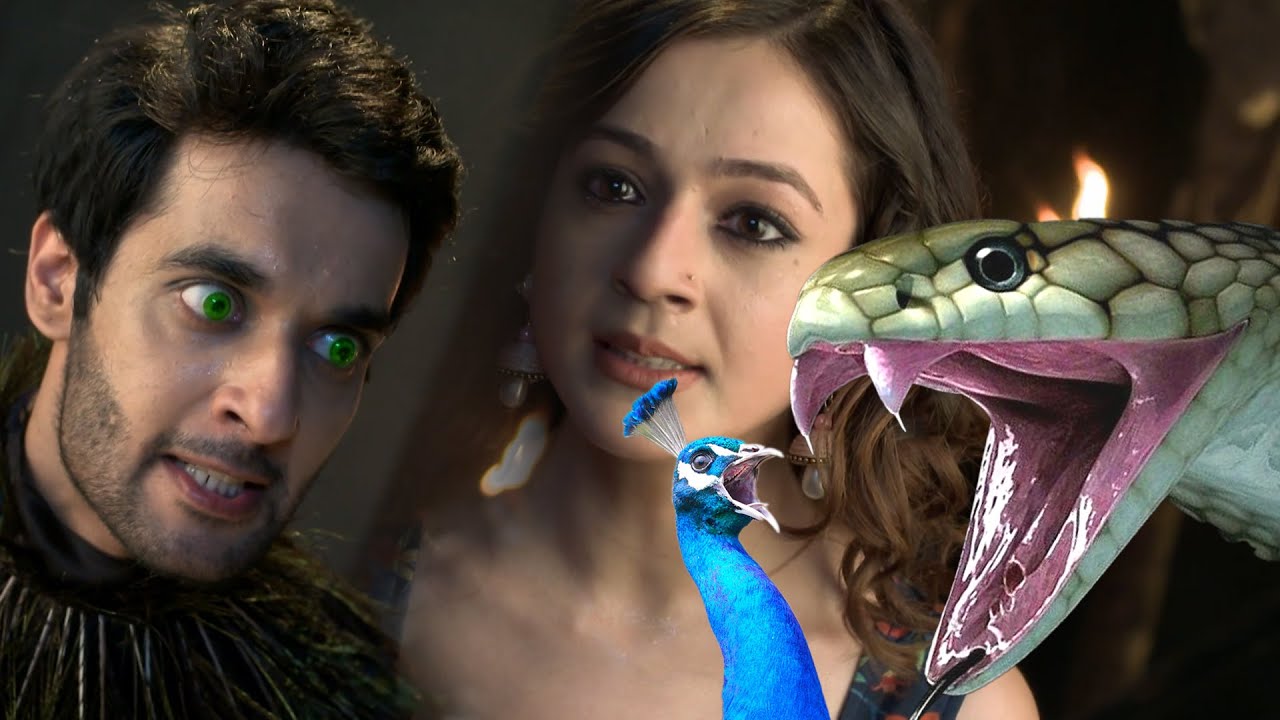 नागिन और मोर में से कौन लेगा किसकी जान ? | Icchapyaari Naagin | New Naagin Episode 2023