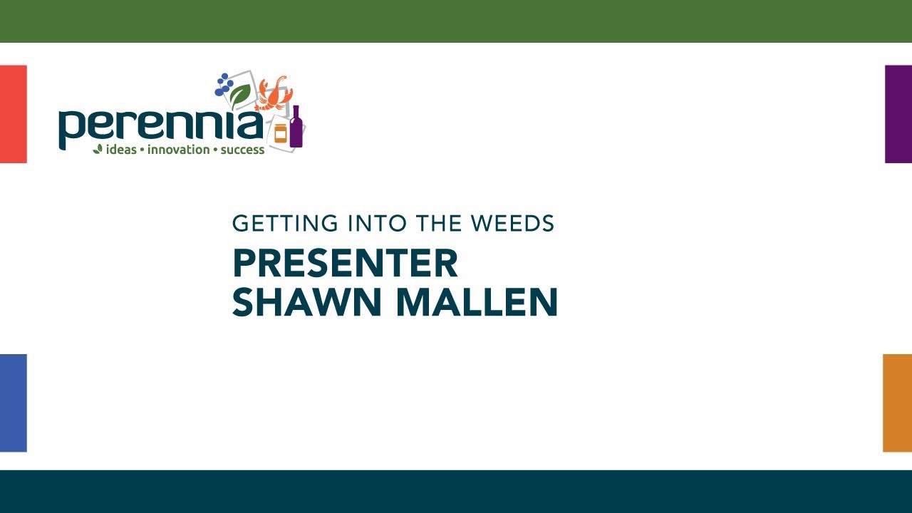 Getting Into the Weeds – Specialized Substrates for Containerized Strawberry Production