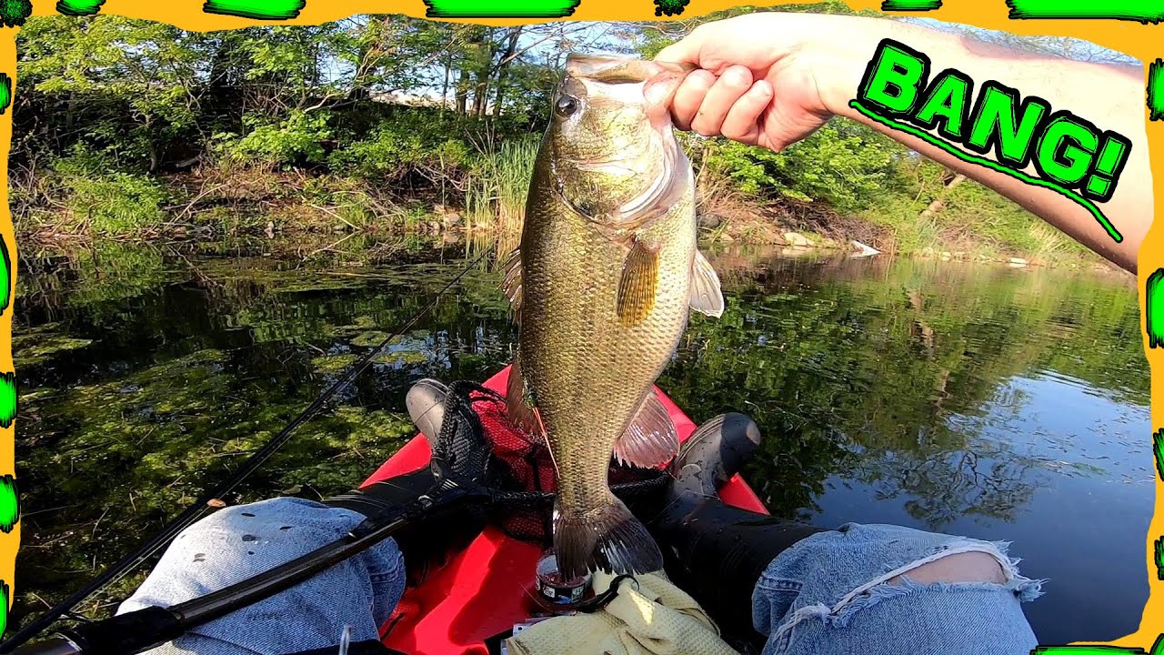 Lifetime daylite 80 modified kayak bass fishing in a pond part 2 Got a nice one!