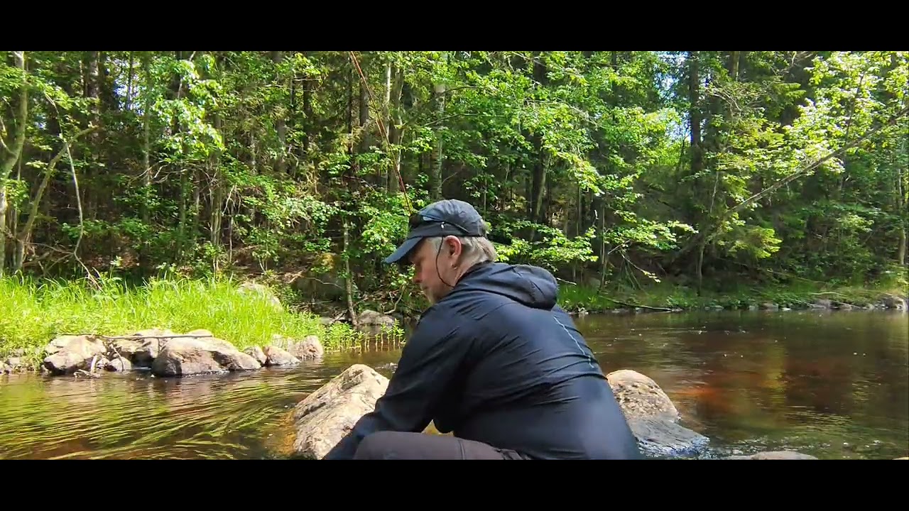 Alla fiskar är inte nytt pb.🙂Jag krokar en mycket liten öring i en fantastisk å.