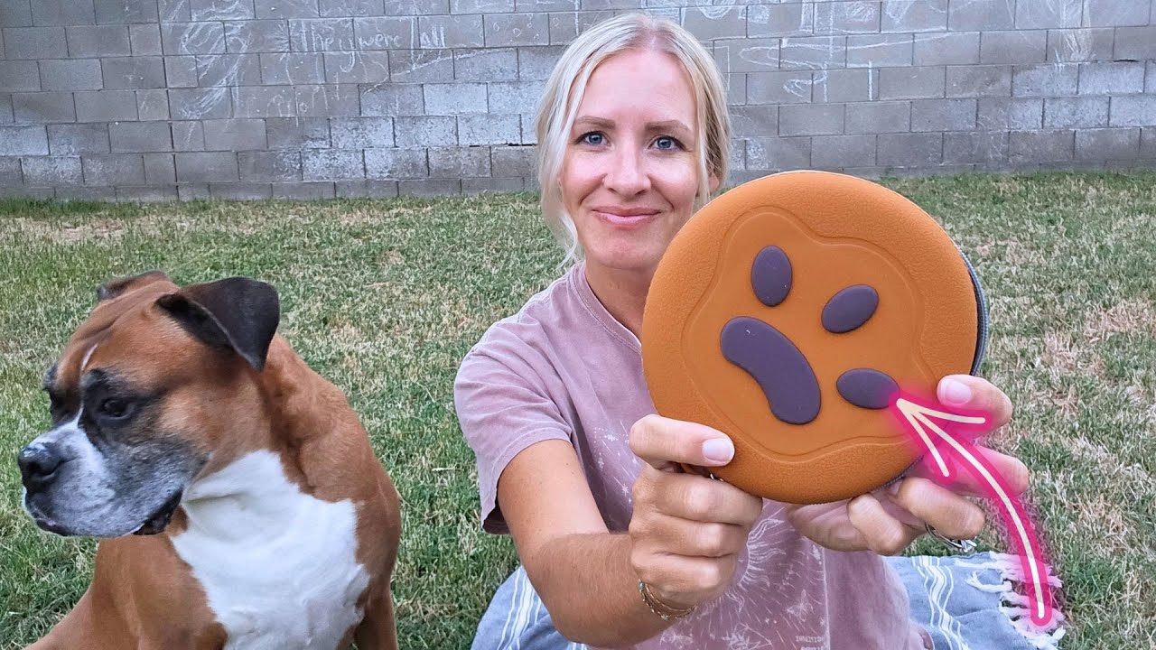 Close up look at this Awesome collapsible dog bowl - Gdsun