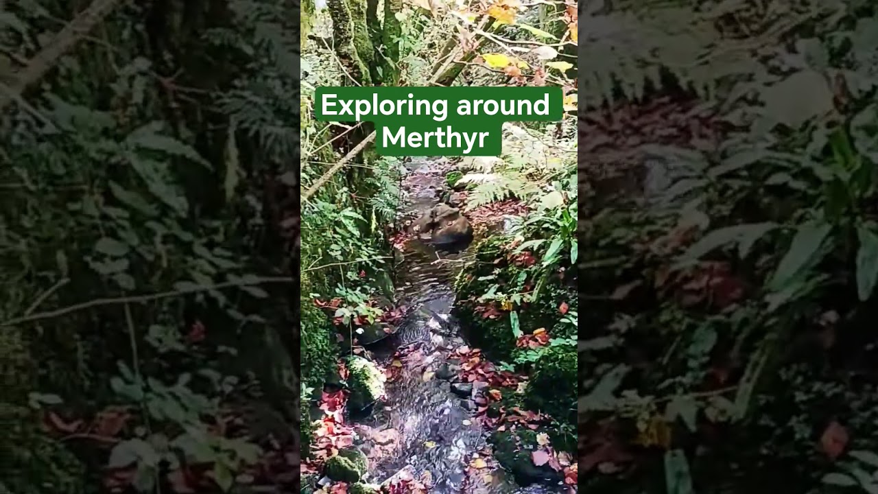 A day out recceing spots around Merthyr Tydfil #exploring #outdoors #fypviral #woodland #graveyard