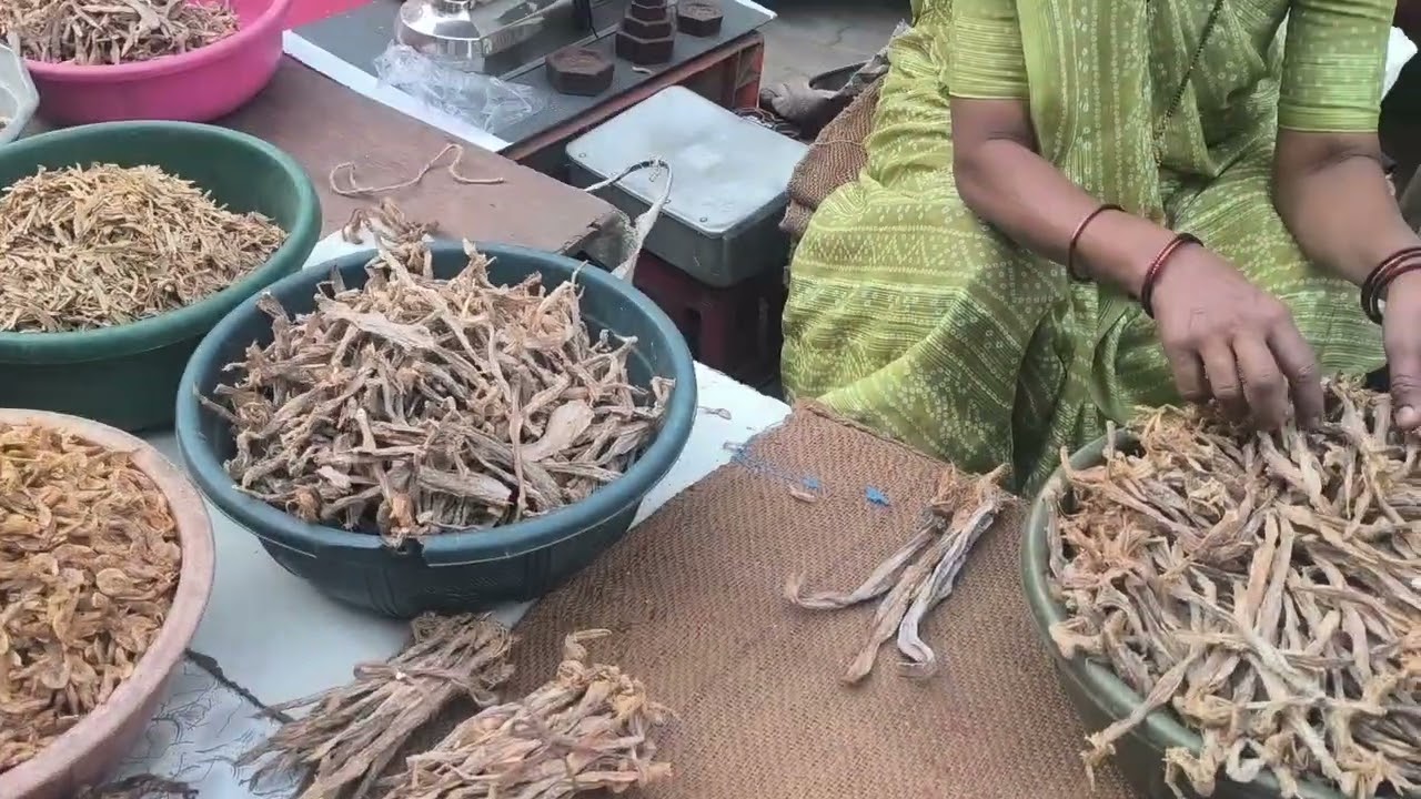Sukhahuwa fish 🐟🐠🐠 Surat railway station ke pass 🐟🐟🐠🐬🦈🐡 subscribe 👈 now' 👇