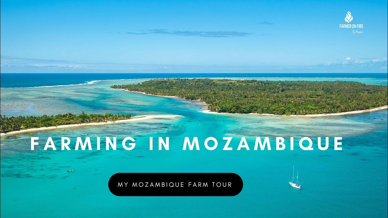 Farm to fork , #Mozambique Tour #farm #agriculture
