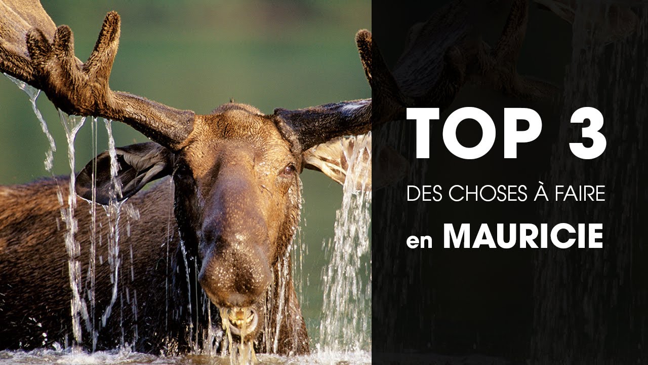 Parc de la Mauricie : TOP 3 des choses &agrave; faire selon Authentik Canada