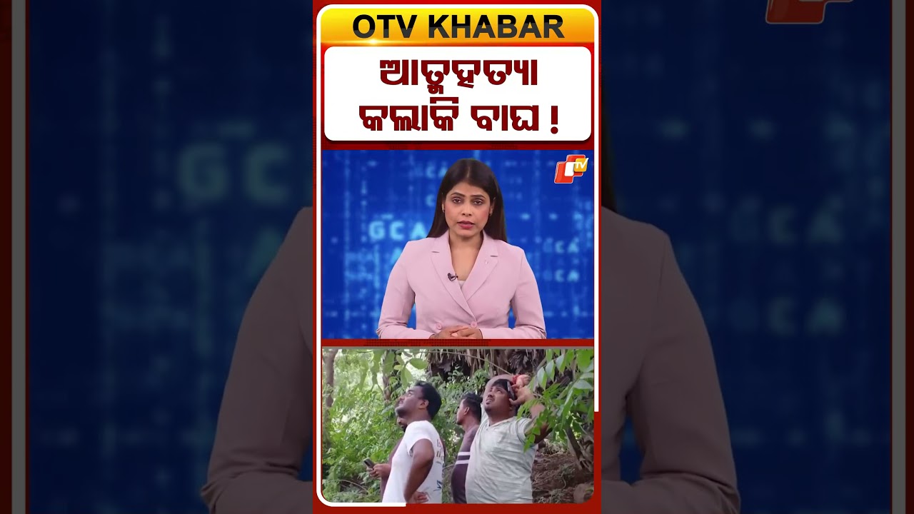 ଆତ୍ମହତ୍ୟା କଲା କି ବାଘ !  #otvshorts #Suicide #Tiger #ganjam