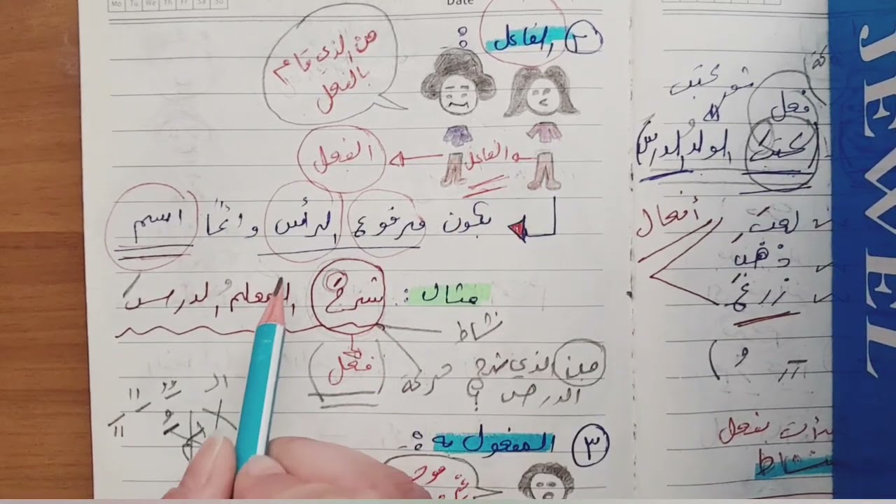 الجملة الفعلية خطوة خطوة | لغة عربية – المرحلة الأساسية
