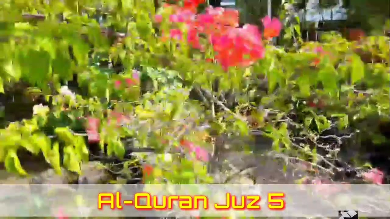 Al Qur'an JUZ 5
