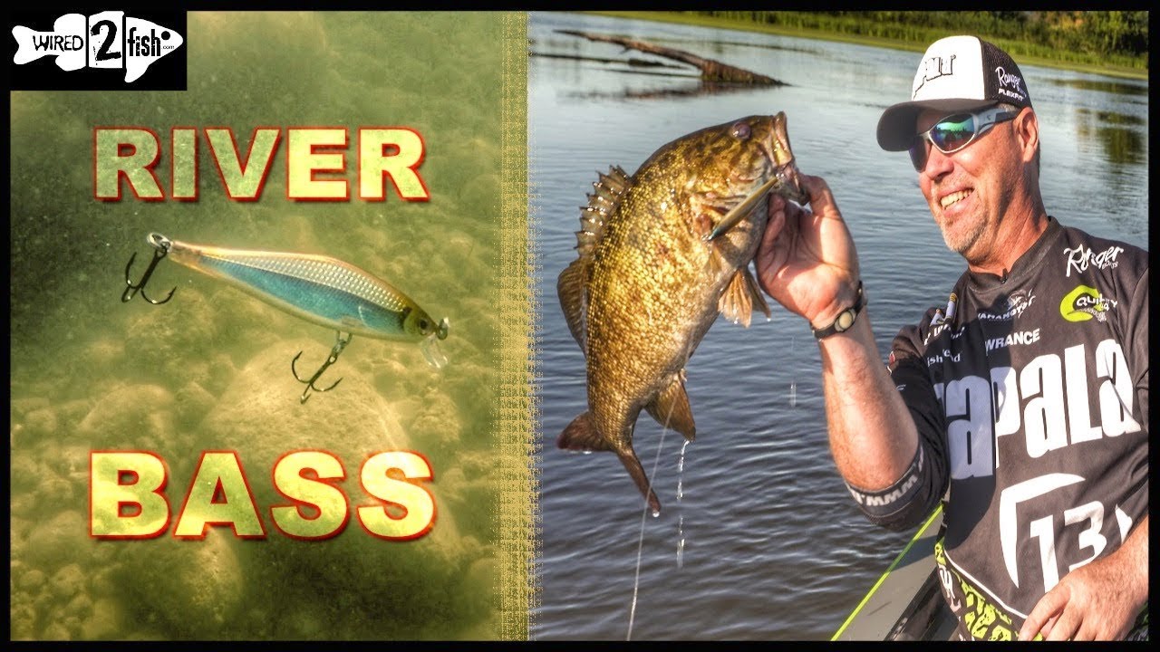 Tips for Finding and Catching River Bass on Jerkbaits