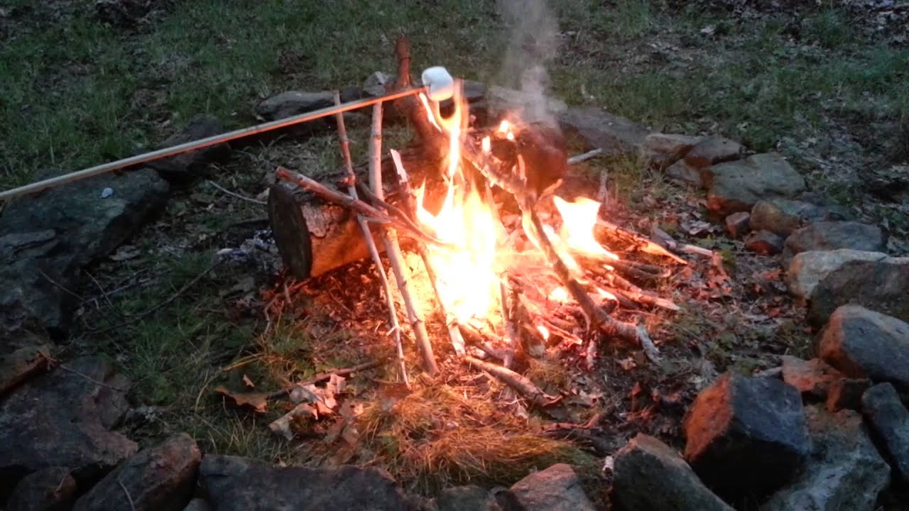 Roasting marshmallows on the campfire