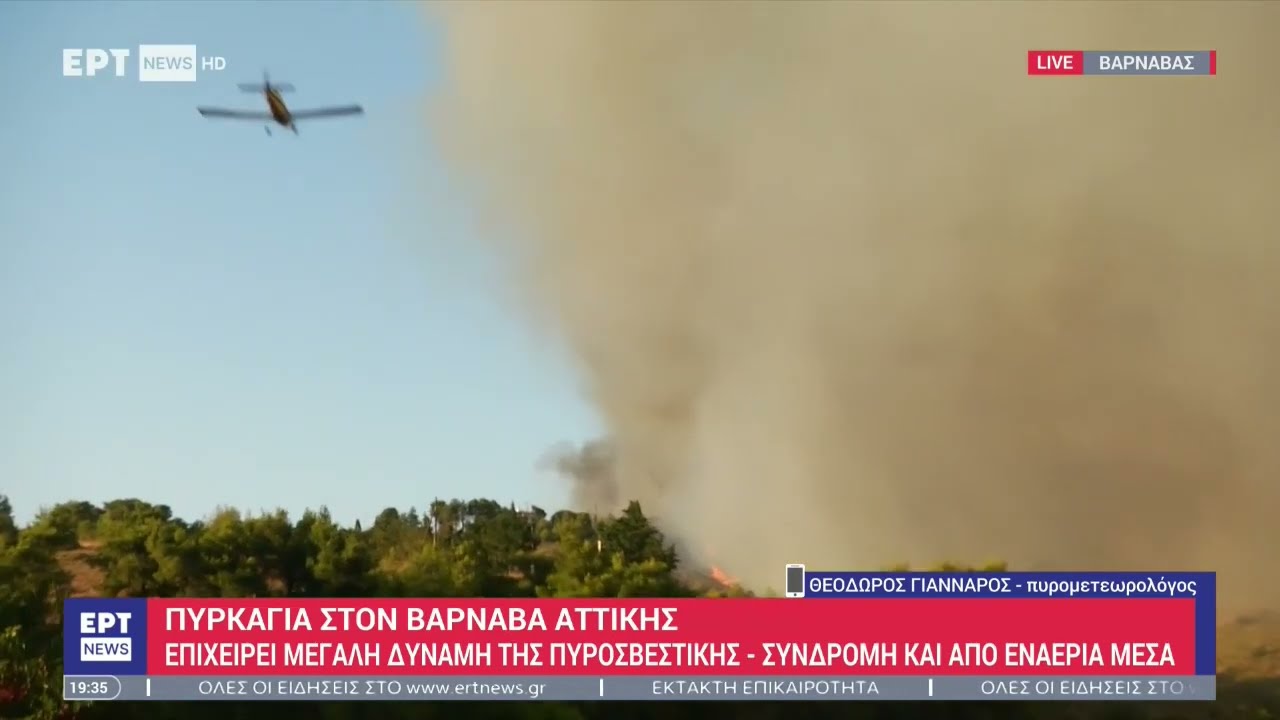 Θ.Γιάνναρος (πυρομετεωρολόγος) στο ΕΡΤNews: Οι συνθήκες που ευνοούν την εξάπλωση των πυρκαγιών | ΕΡΤ
