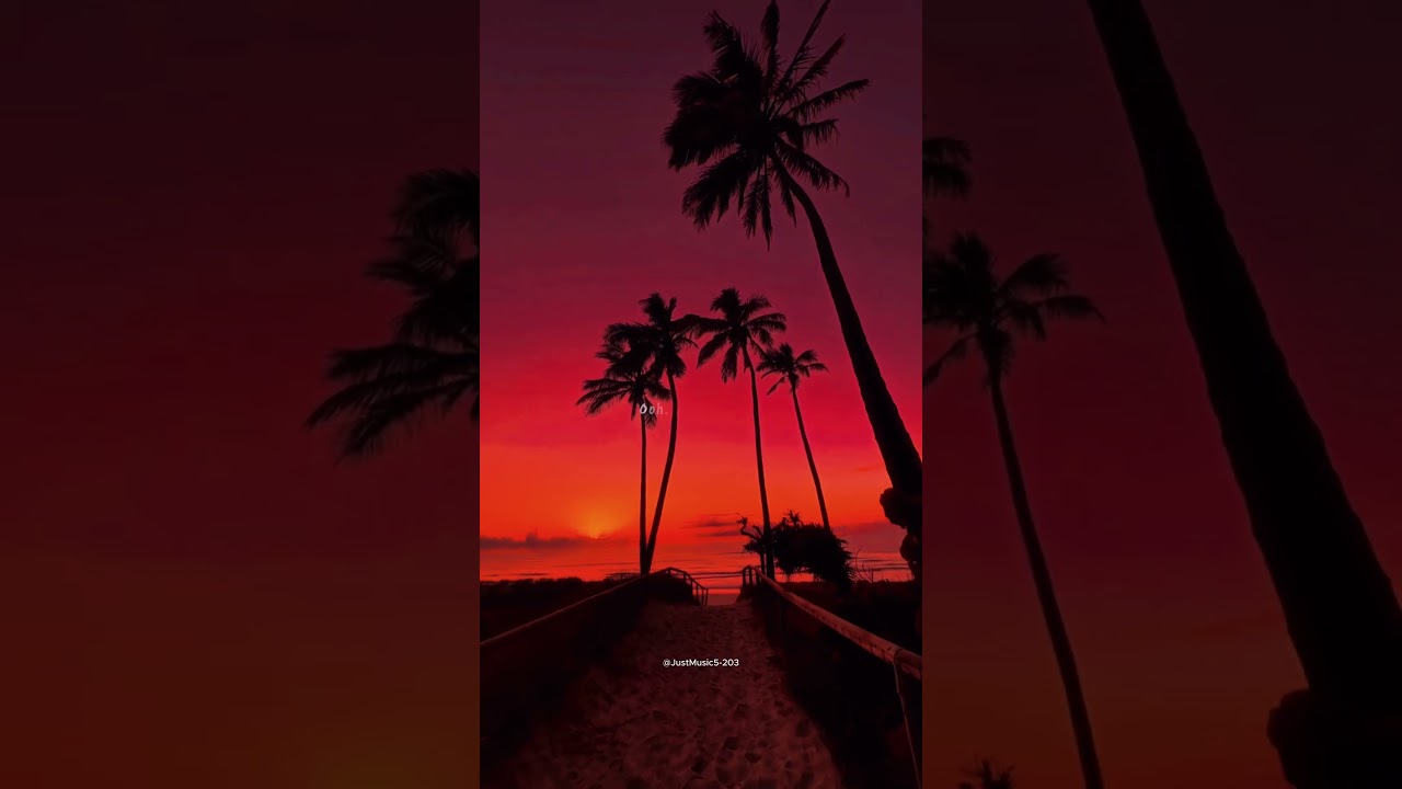 Havana - Camila Cabello | lyrics | aesthetic | whatsapp Status | English songs | sped up 