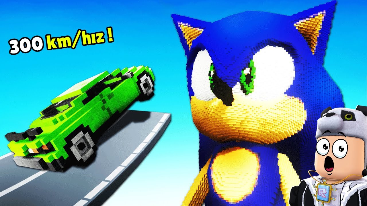 Süper Arabalarla Uç ve SONIC Yok Et !