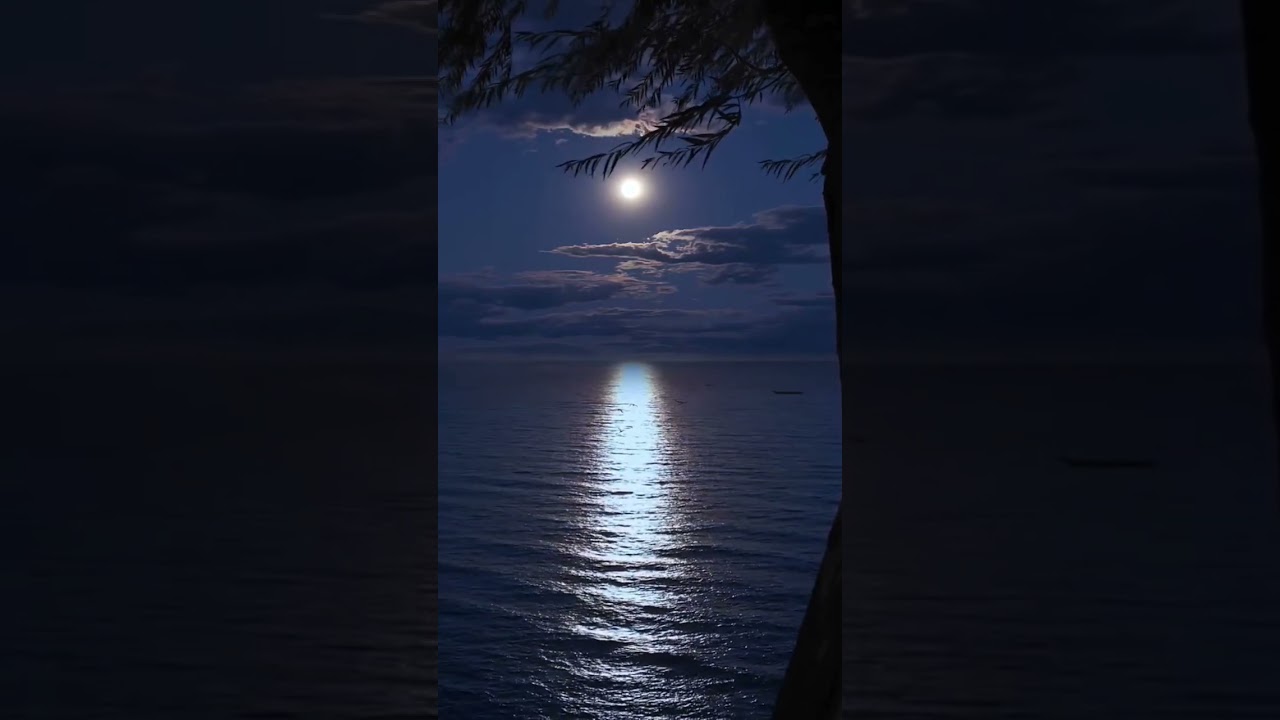 Moonlight reflecting on the ocean ! #moonlight #ocean  #sea #soothing #cinematic