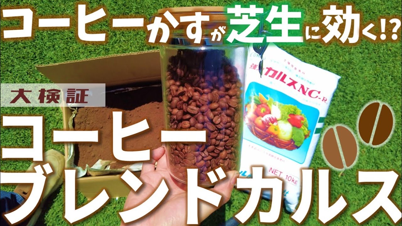 【捨てたらあかん】