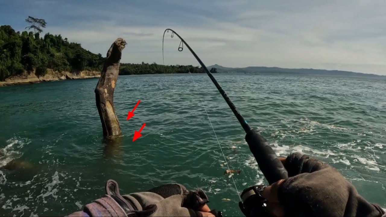 TERNYATA KAYU TUMBANG JADI TEMPAT IKAN BERKUMPUL‼️MANCING PINGGIRAN LAUT