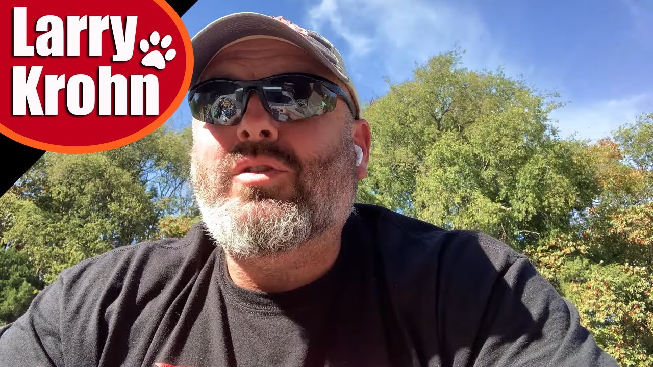 Punishment vs rewards in dog training / rewarding unwanted behaviors