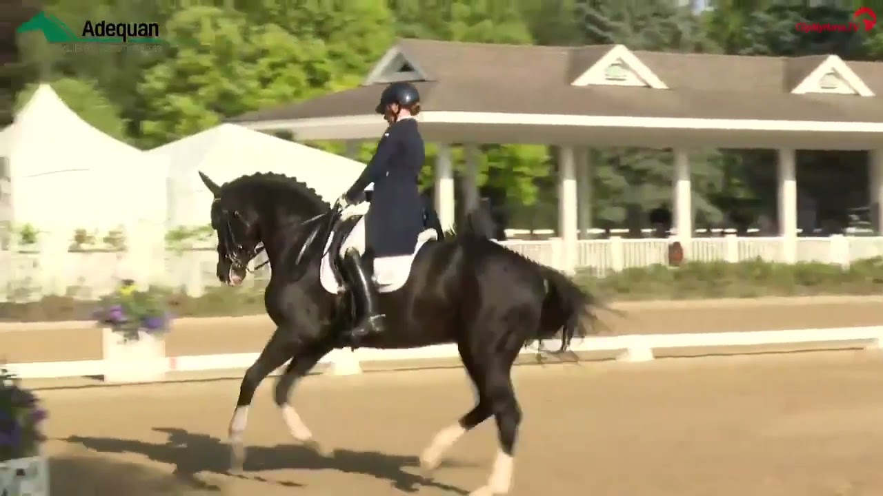 Sabine Schut-Kery & Gorgeous Latino | FEI Seven-Year-Old Final Test | U.S. Festival of Champions