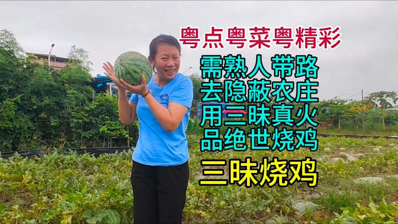 粤点粤菜粤精彩，需熟人带路去隐蔽农庄用三昧真火品绝世烧鸡，粤语中字幕2024-6-8