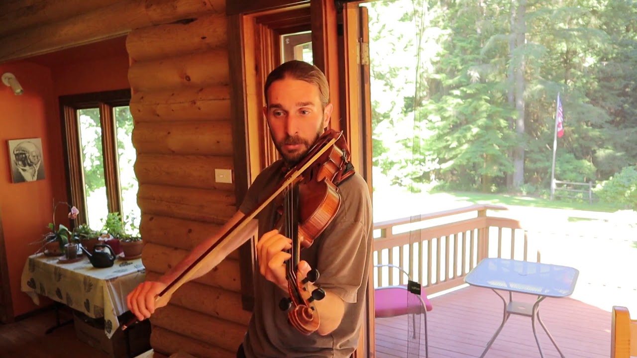 fiddle: staten island (reel)