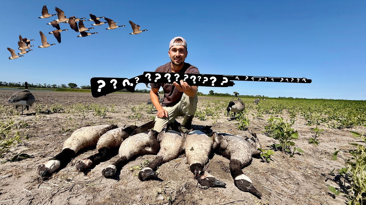 Early Season Goose Hunting using my New Shotgun!