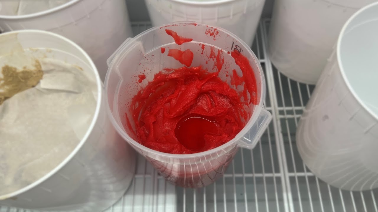 How to Serve the Best Water Ice!