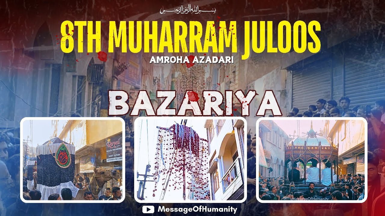 BAZARIYA || 8th Muharram Juloos 1446 Hijri 2024 || AmrohaAzadari || MessageOfHumanity