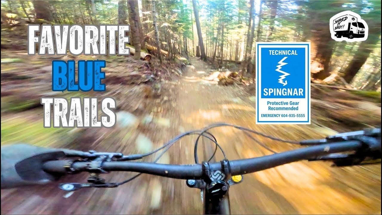 You NEED To Ride These Trails
