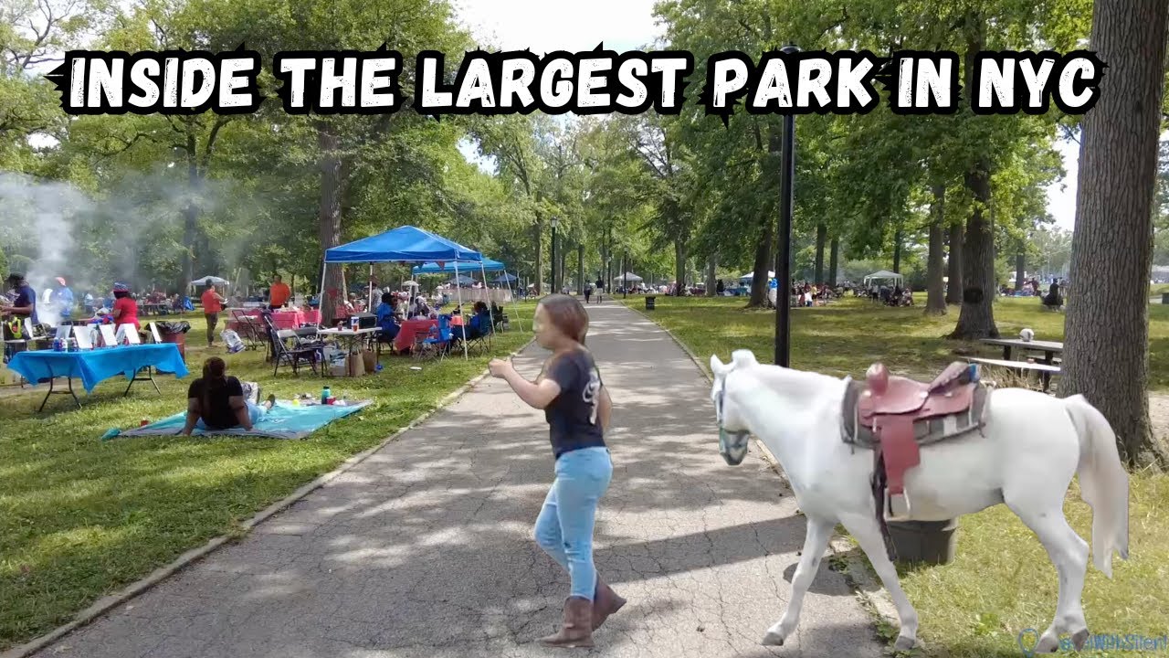 Inside the LARGEST Park in NYC - Pelham Bay Park in the #Bronx #BronxNY