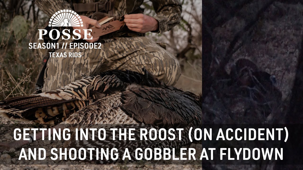 Turkey Hunting In The Roost - Too Close For Comfort!