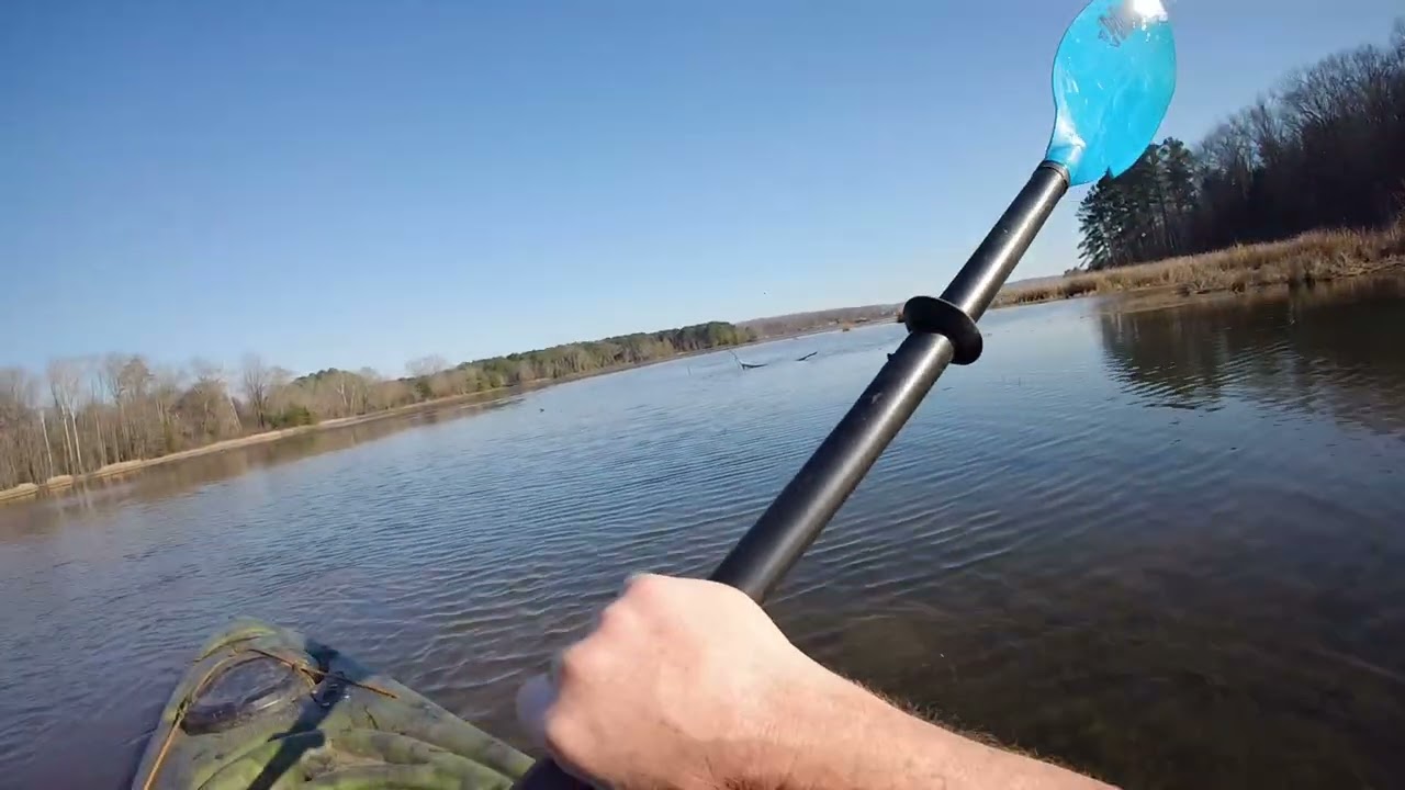 Explore a water wilderness and see ducks and beaver homes in north east Alabama 