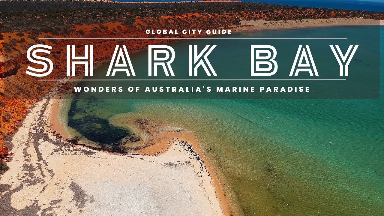 "Shark Bay Odyssey: Exploring the Wonders of Australia's Marine Paradise"