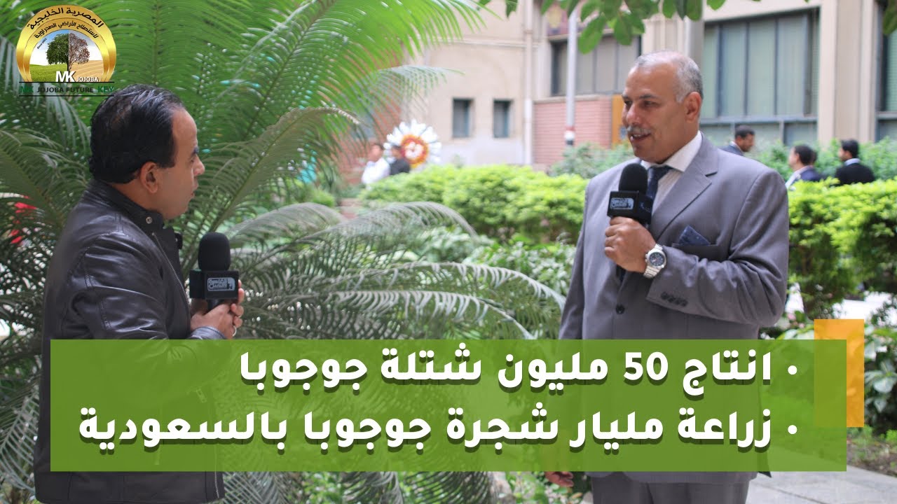 الجوجوبا مستقبل الاقتصاد الزراعي المصري Mk Jojoba
