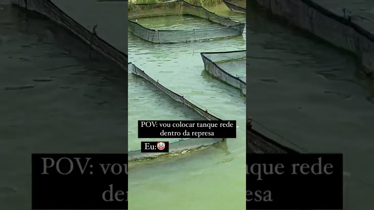Como colocar tanque rede em represa