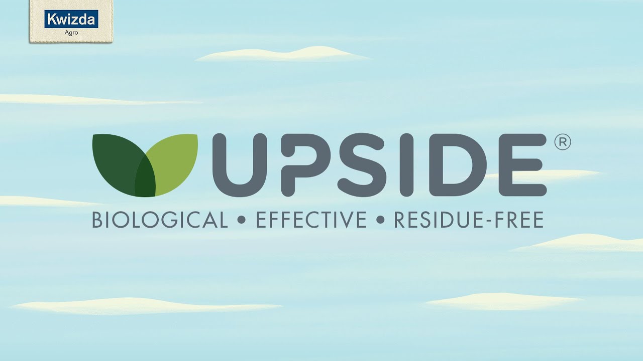 UPSIDE® the fungicide for organic viticulture