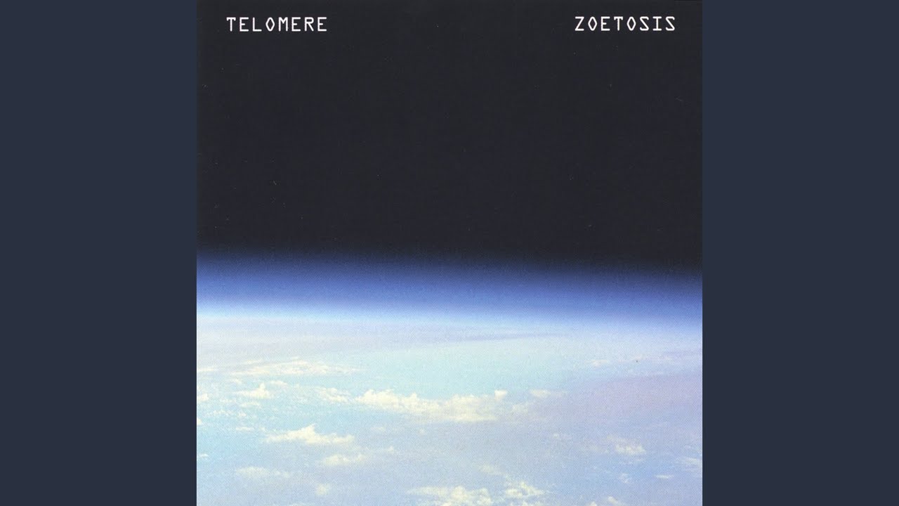 Microcosmos