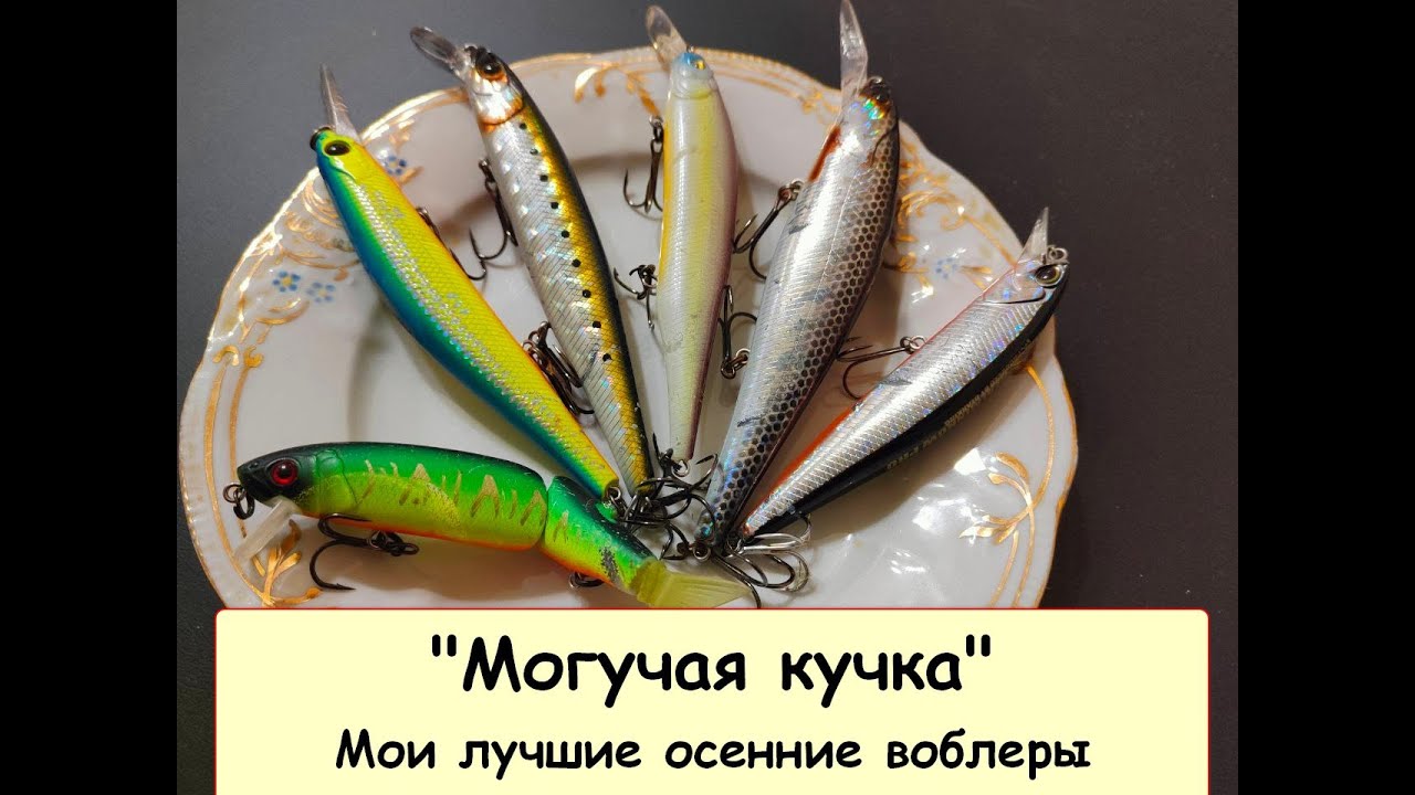 Воблеры от tsuyoki и bearking, которые 