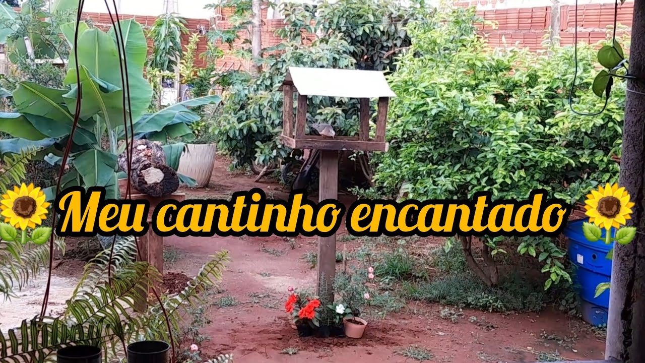 MUDANÇA NECESSÁRIA ESTAVA MOLHANDO TUDO +CASA PARA OS PÁSSAROS 🐦 