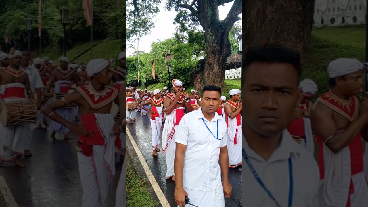 #මහනුවර දළදා පෙරහැර උදෙසා කප වැඩම වීම...